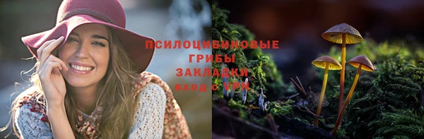 гашик Вязьма