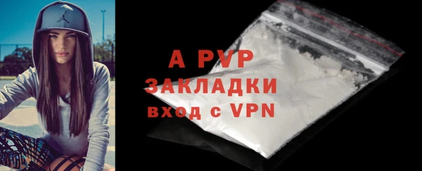 PSILOCYBIN Горняк