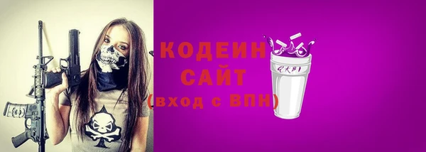 скорость Вяземский