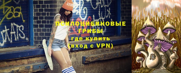 PSILOCYBIN Горняк
