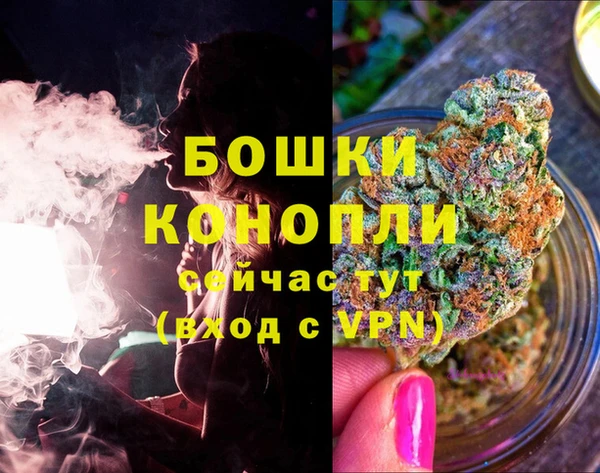 гашик Горнозаводск