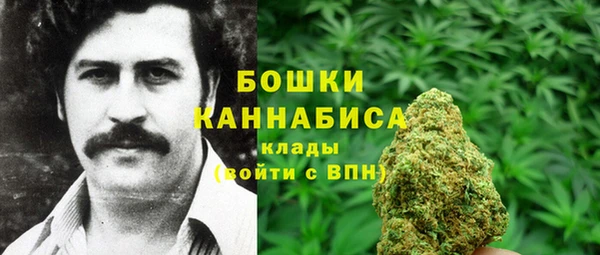 PSILOCYBIN Горняк