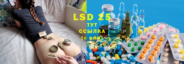 скорость Вяземский