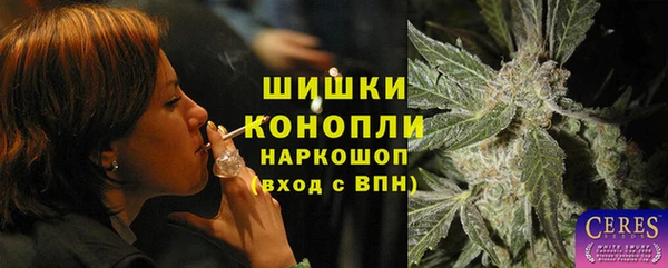 скорость Вяземский