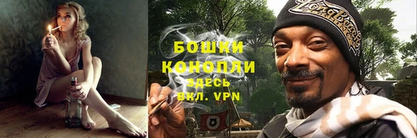 скорость Вяземский