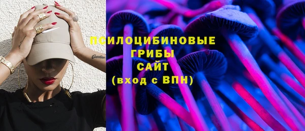 PSILOCYBIN Горно-Алтайск