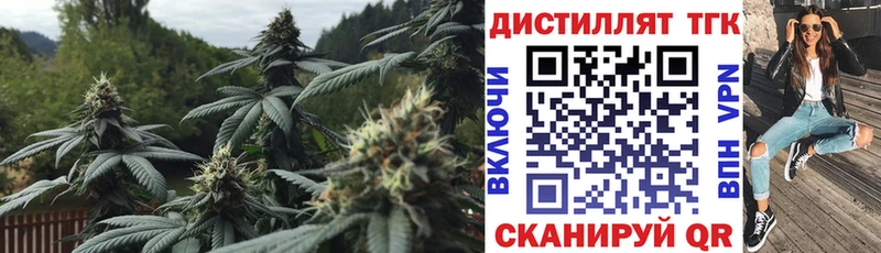 ТГК THC oil  это какой сайт  Зея 