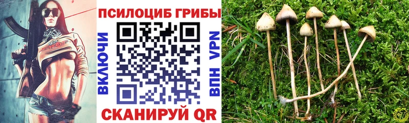 Галлюциногенные грибы Cubensis  Зея 